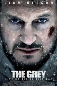 THE GREY
