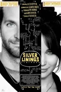 SILVER LININGS PLAYBOOK