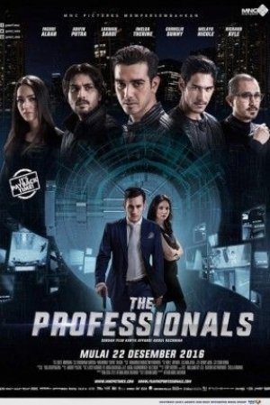 THE PROFESSIONALS