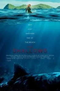 THE SHALLOWS