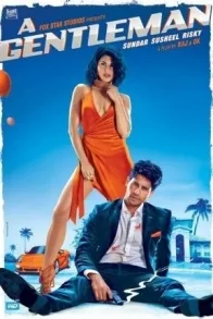 A GENTLEMAN: SUNDAR, SUSHEEL, RISKY