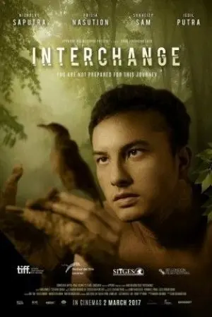 Interchange