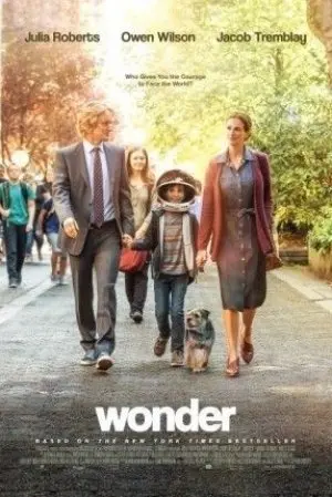 Wonder