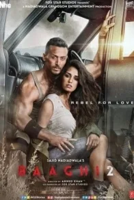 BAAGHI 2