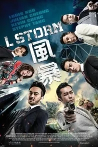 L STORM