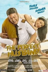 THE PERFECT HUSBAND