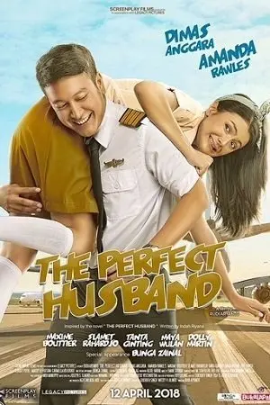 The Perfect Husband