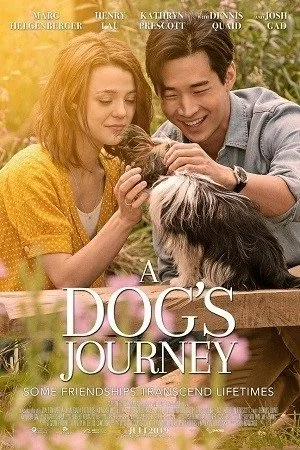 A Dog's Journey