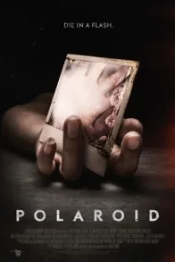 POLAROID