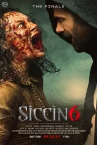 SICCIN 6
