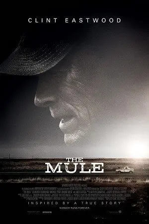 The Mule