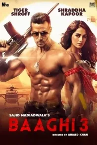 BAAGHI 3