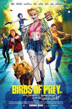 BIRDS OF PREY