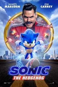 SONIC THE HEDGEHOG