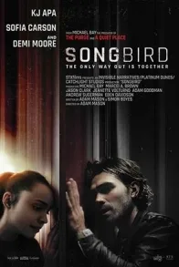 SONGBIRD