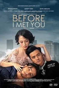 BEFORE I MEET YOU