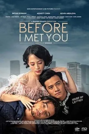 Before I Meet You