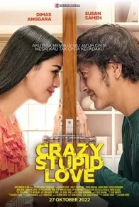 CRAZY, STUPID, LOVE