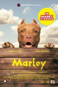MARLEY