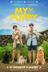 MY PUPPY