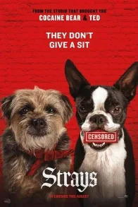 STRAYS