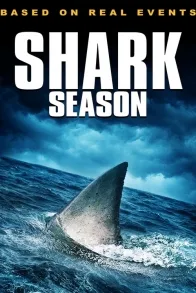 Shark Season