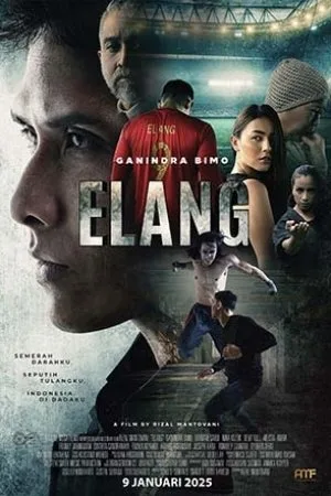 Elang