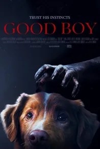 Good Boy