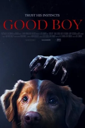 Good Boy