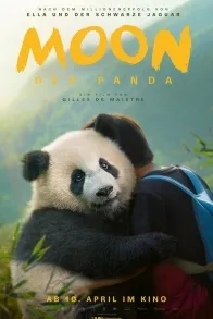 MOON THE PANDA MOON THE PANDA