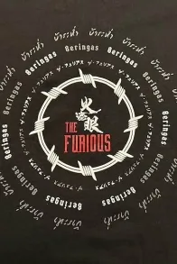 The Furious The Furious