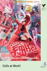 JFF 2025: CELLS AT WORK!