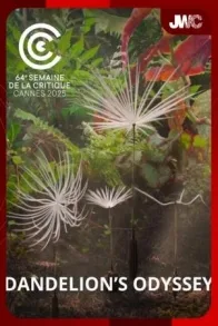 JWC 2025: DANDELION'S ODYSSEY