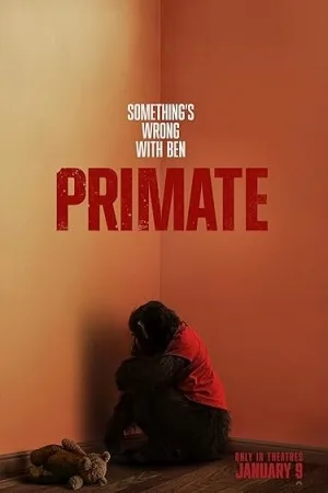 Primate