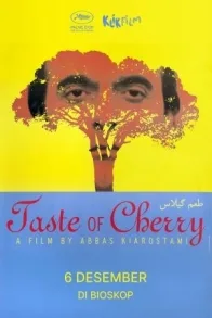 TASTE OF CHERRY