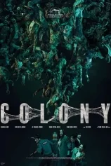 Colony