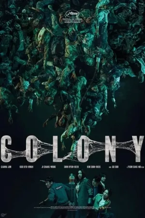 Colony