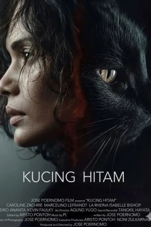 Kucing Hitam