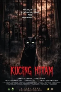 KUCING HITAM