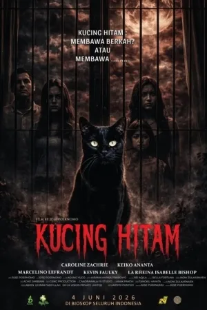 Kucing Hitam