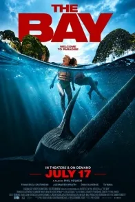 THE BAY