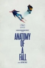 ANATOMY OF A FALL