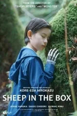 ARTHOUSE: SHEEP IN THE BOX