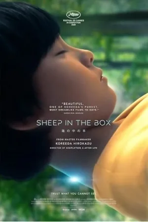 Sheep in the Box