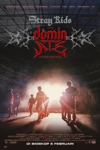 Stray Kids: The Dominate Experience Stray Kids: The Dominate Experience
